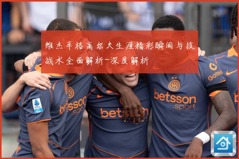 维杰辛格高尔夫生涯精彩瞬间与技战术全面解析-深度解析